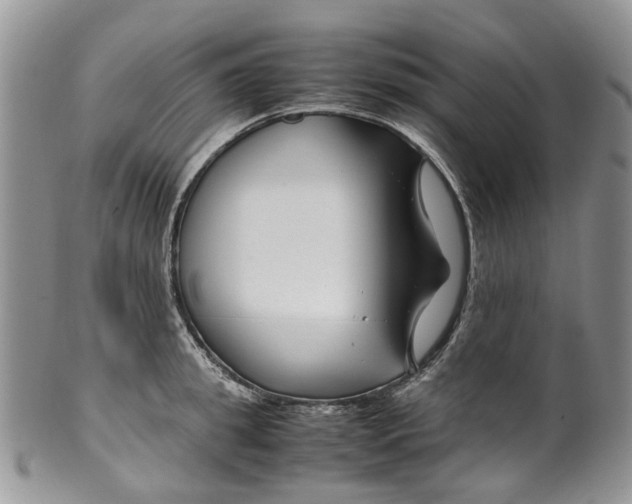 X0000099510949200806051144