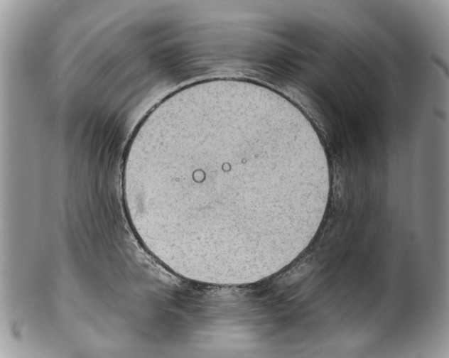 X0000099510950200806051144