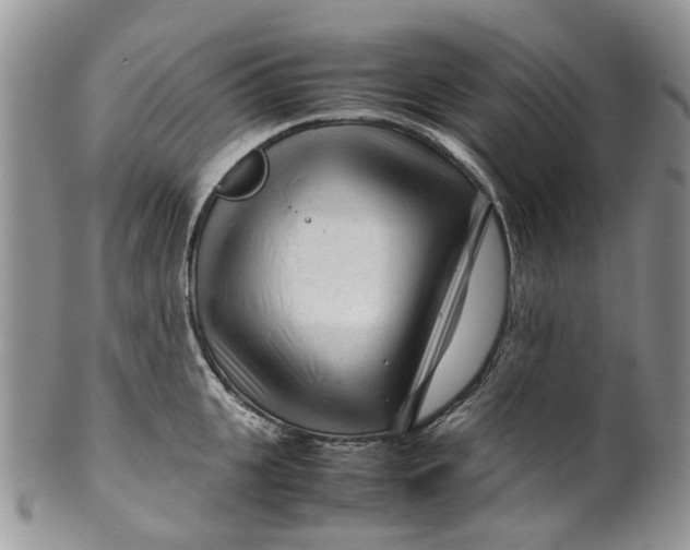 X0000099510951200806051144