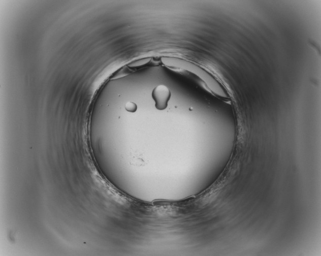 X0000099510952200806051144