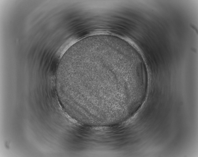 X0000099510953200806051144