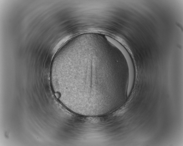 X0000099510954200806051144