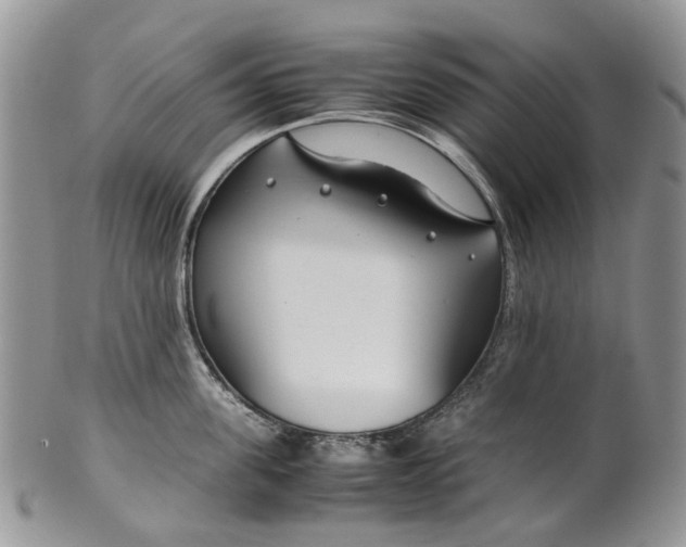 X0000099510955200806051144