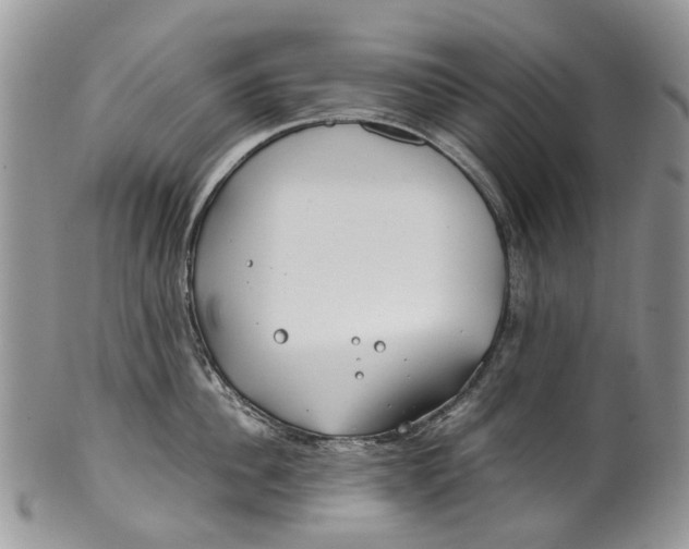 X0000099510956200806051144