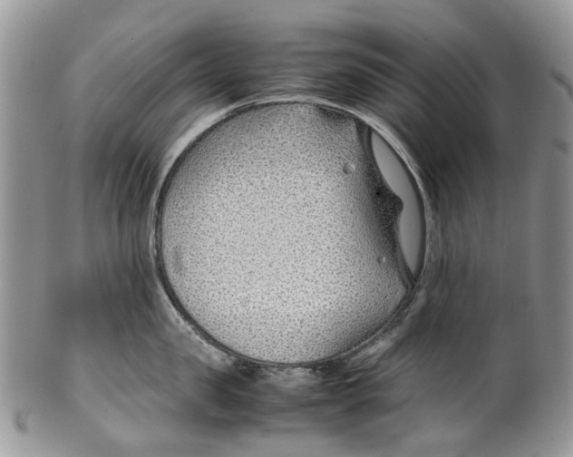 X0000099510957200806051144