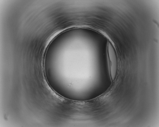 X0000099510959200806051144