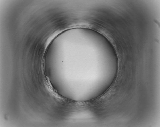 X0000099510960200806051144