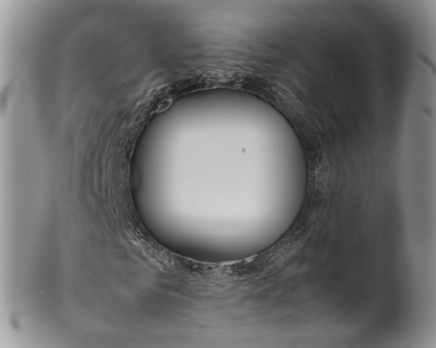 X0000099510961200806051143