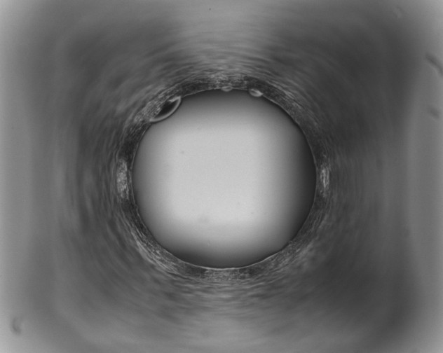 X0000099510963200806051143