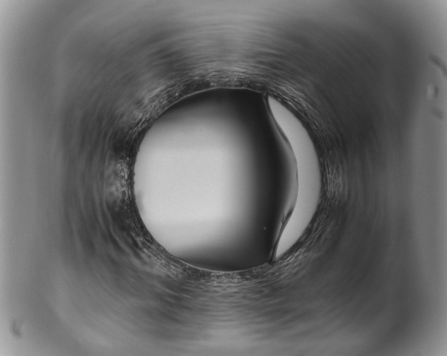 X0000099510964200806051143