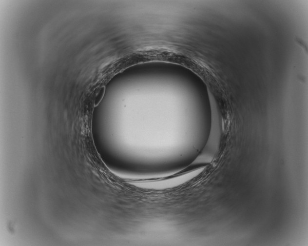 X0000099510965200806051143