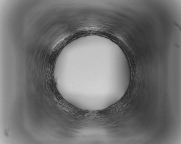 X0000099510967200806051143