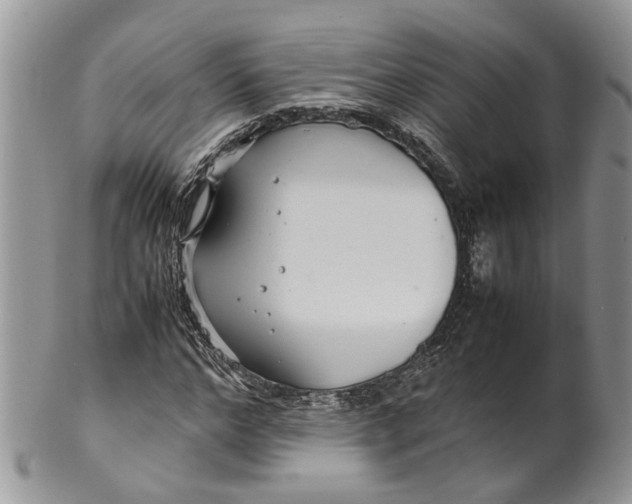 X0000099510968200806051143