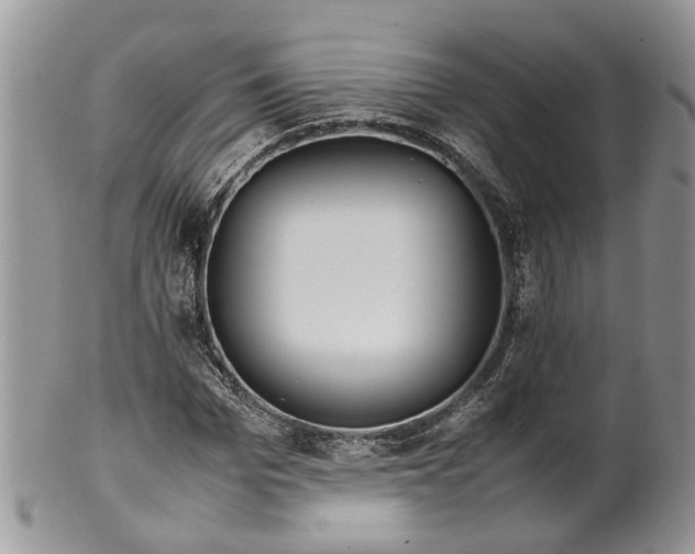 X0000099510969200806051143