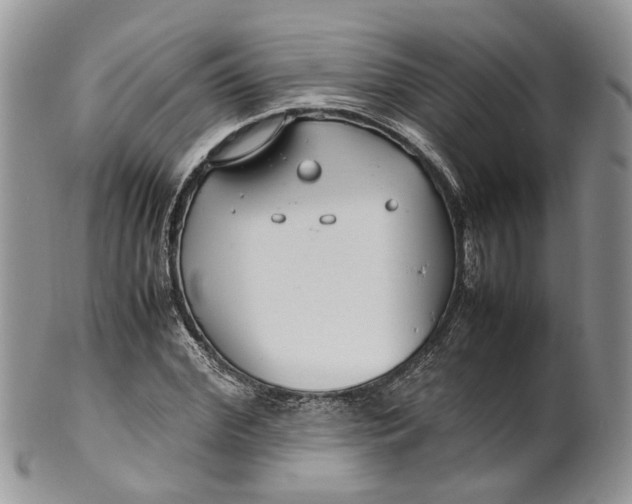 X0000099510972200806051143