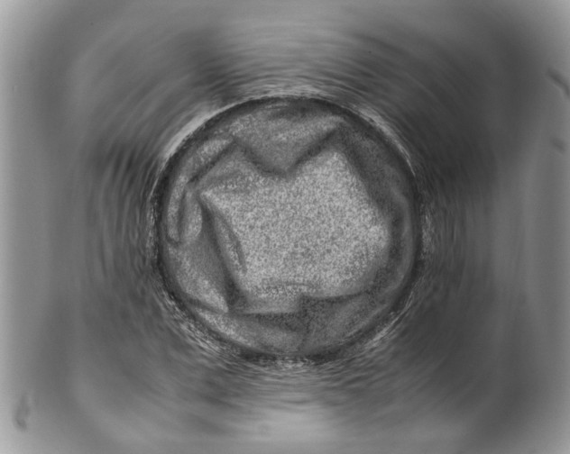 X0000099510975200806051143