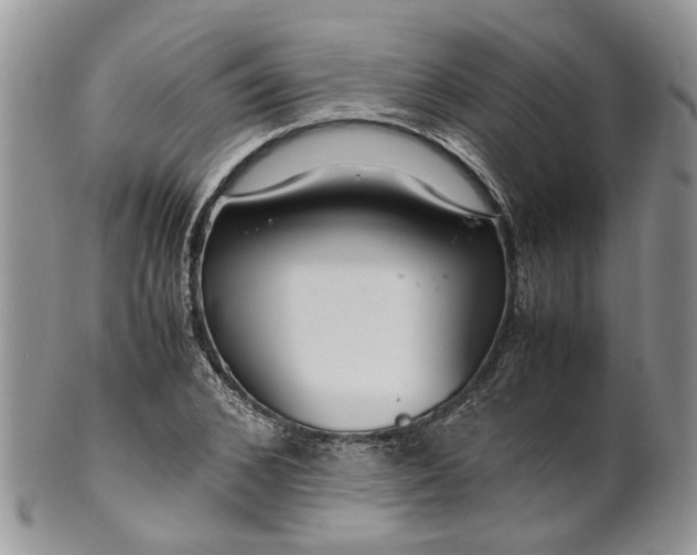 X0000099510976200806051143