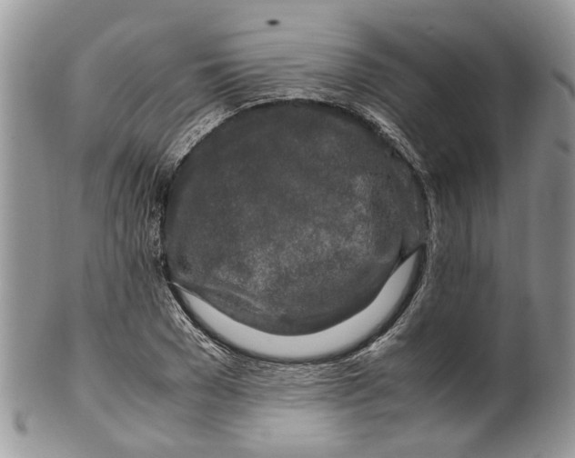 X0000099510977200806051143