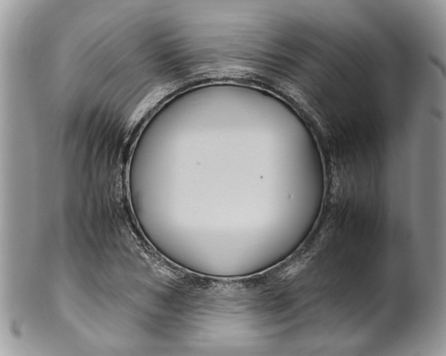 X0000099510978200806051143