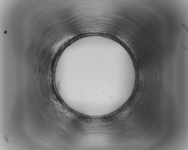 X0000099510979200806051143