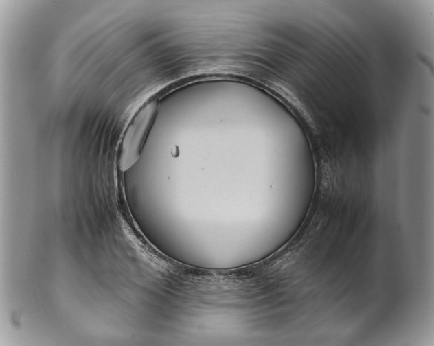 X0000099510980200806051143