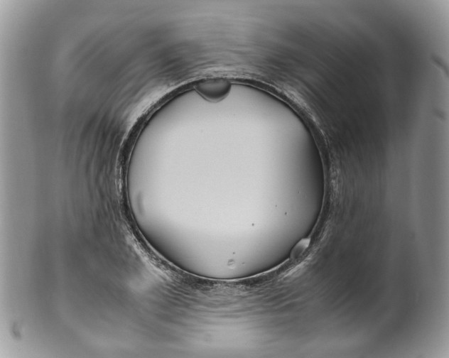 X0000099510981200806051143