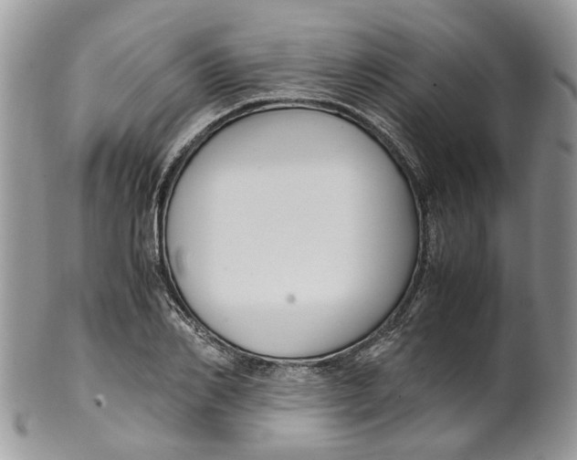 X0000099510982200806051143