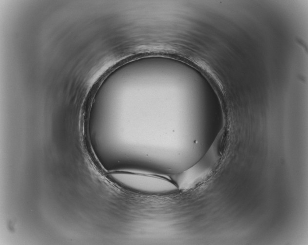 X0000099510983200806051143