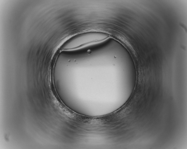 X0000099510984200806051143