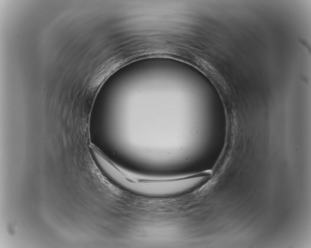 X0000099510985200806051143