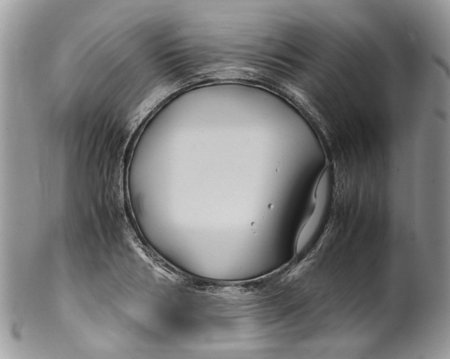 X0000099510986200806051143