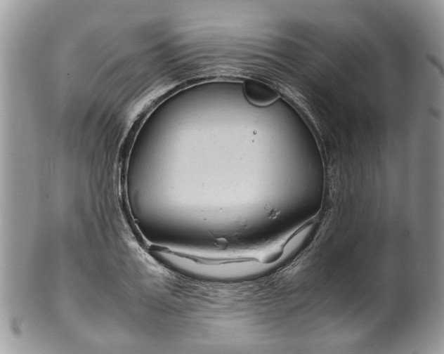 X0000099510987200806051143