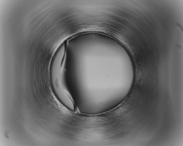 X0000099510988200806051143