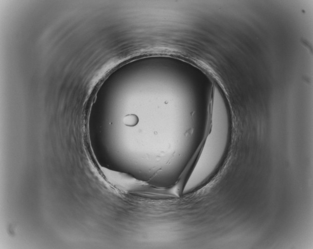 X0000099510989200806051143