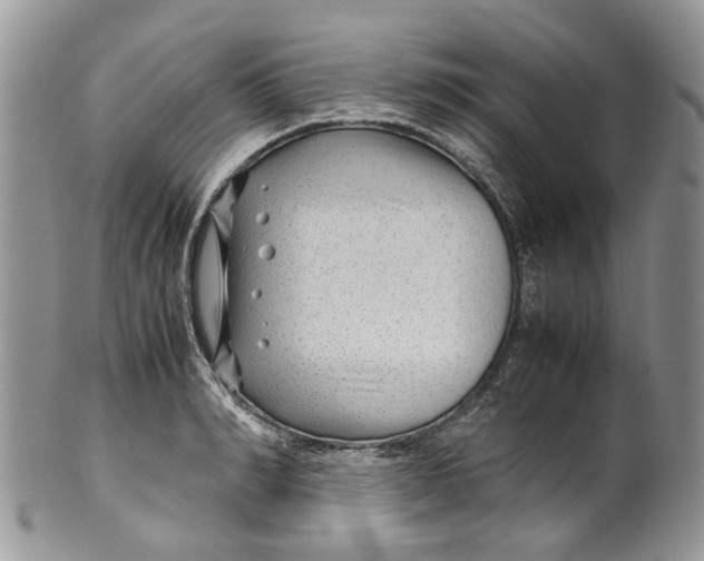 X0000099510990200806051143