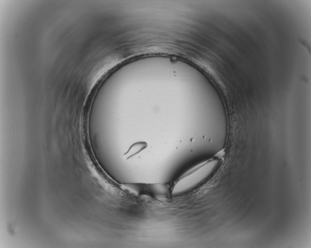 X0000099510991200806051143