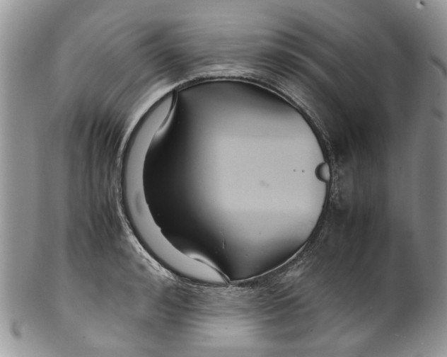 X0000099510992200806051143