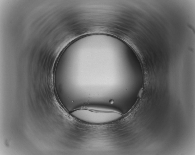 X0000099510996200806051143