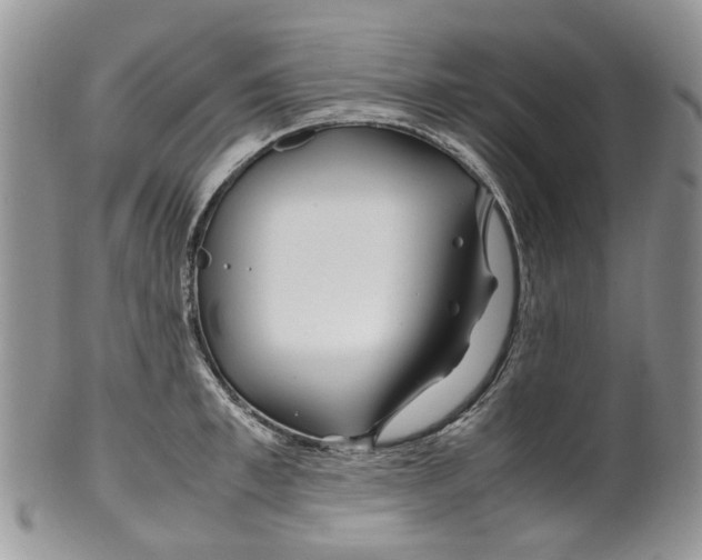 X0000099510997200806051143