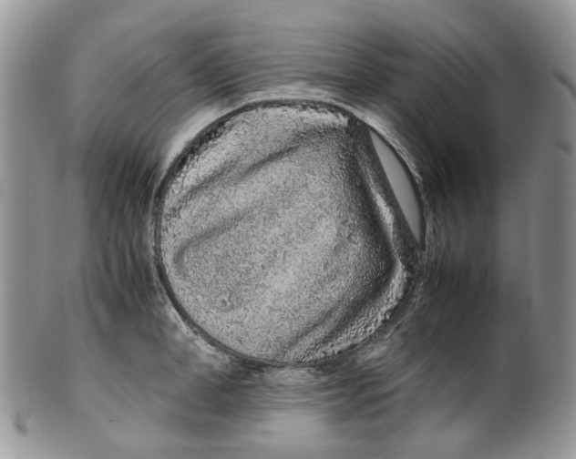 X0000099510998200806051143