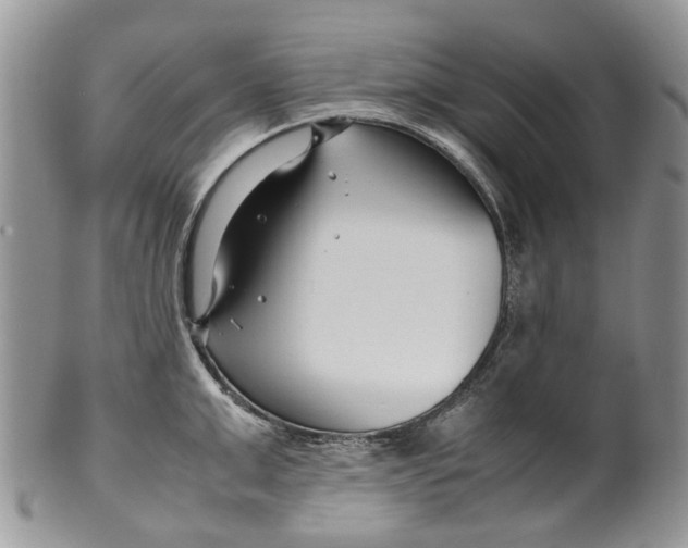 X0000099510999200806051142