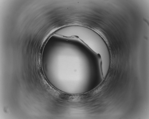 X0000099511000200806051142