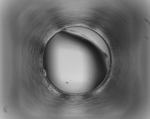 X0000099511001200806051142