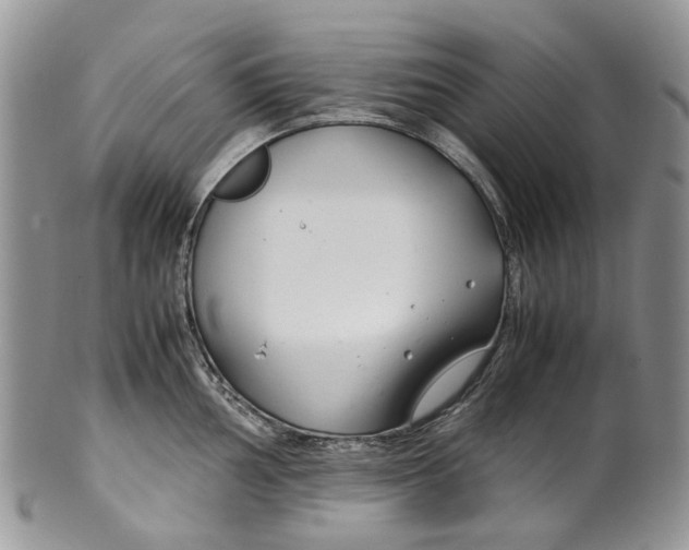 X0000099511002200806051142