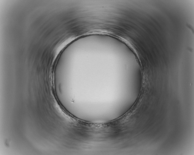 X0000099511003200806051142