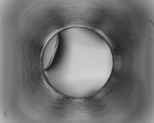 X0000099511004200806051142