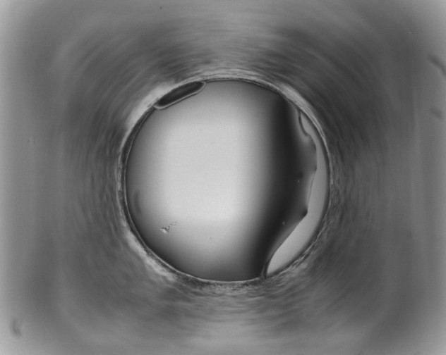 X0000099511005200806051142