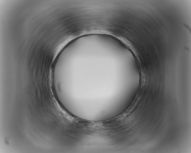 X0000099511006200806051142