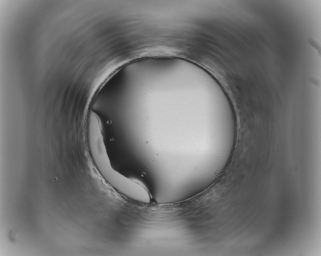 X0000099511008200806051142