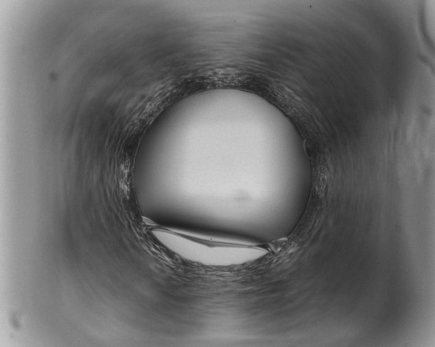 X0000099511010200806051142